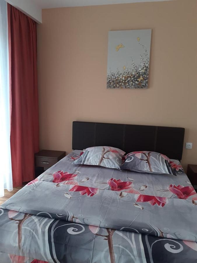Casa Roxana Apartment Slatina  Exterior photo